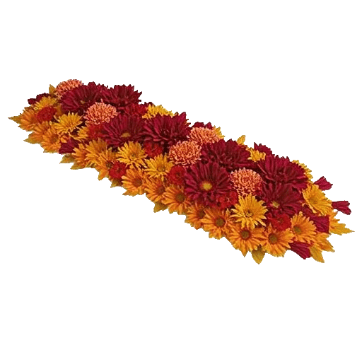 Radiant Bloom Cascade