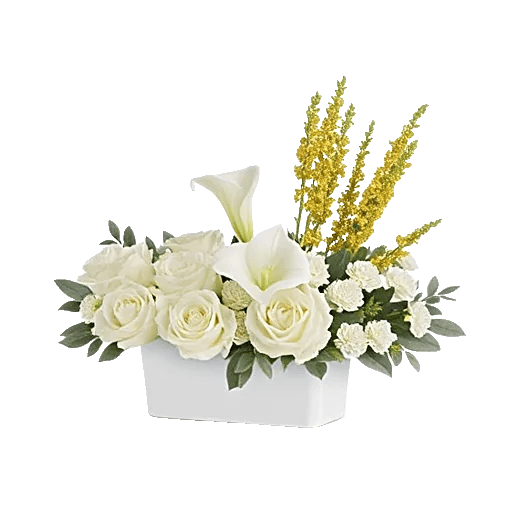 Graceful Lily Display