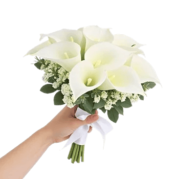 Elegant Calla Lilies