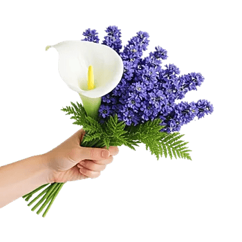 Elegant Calla Lilies