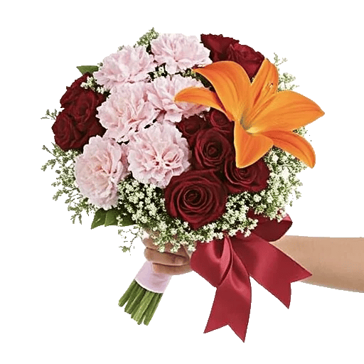 Blushing Rose Symphony