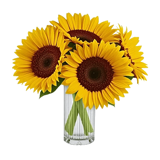 Radiant Bloom Cascade