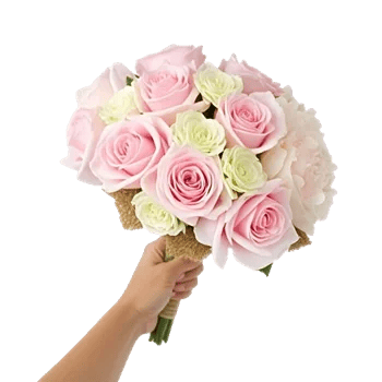 Pastel Pink Roses
