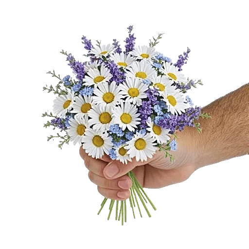 Daisy Meadow Spread