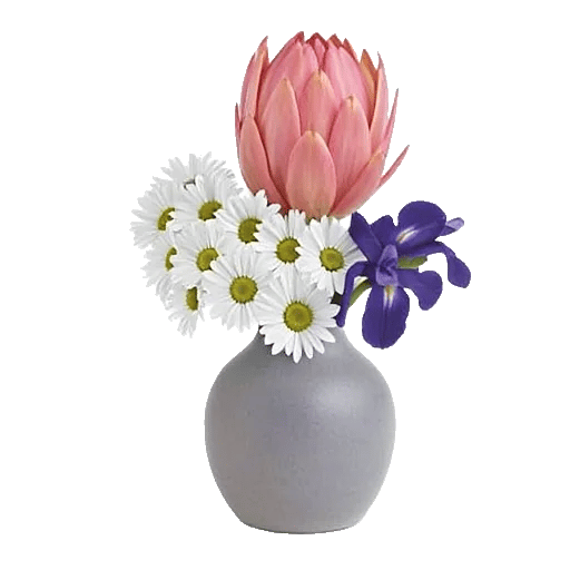 Ivory Blossom Radiance