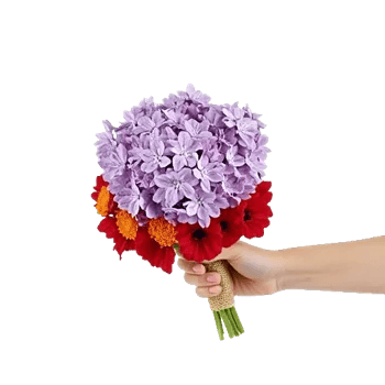 Blossom Harmony Display