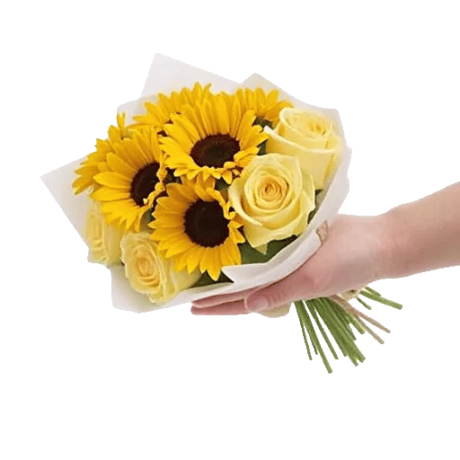 Twinkling Sunflower Dance