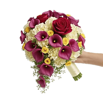 Delicate Petal Cascade