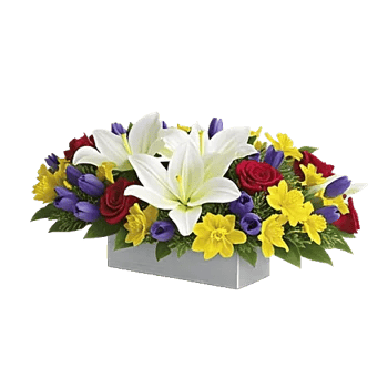 Graceful Lily Display