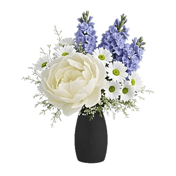 Ivory Blossom Radiance