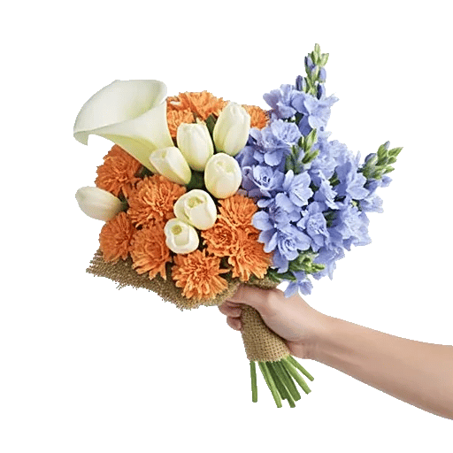 Elegant Calla Lilies