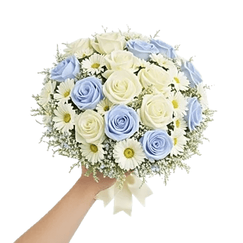 Serene Petal Harmony