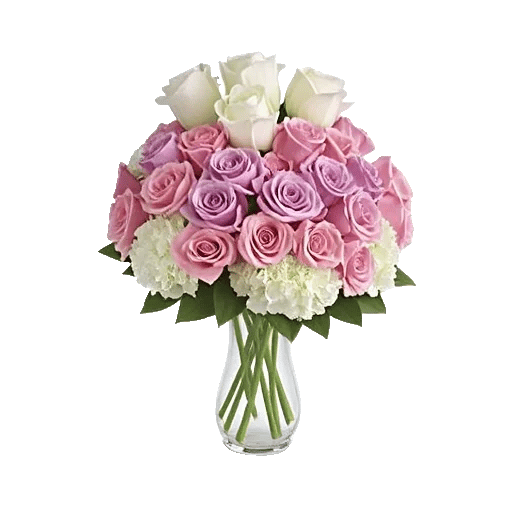 Radiant Rose Symphony