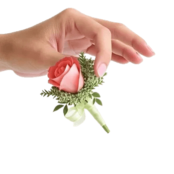 Coral Blossom Harmony