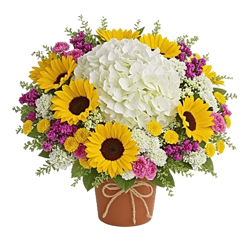 Serene Petal Harmony