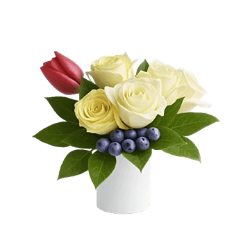 Velvet Tulip Display