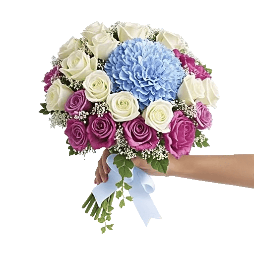 Ivory Blossom Radiance