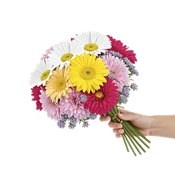 Enchanting Daisy Garden