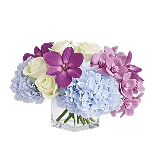 Orchid Bloom Cascade