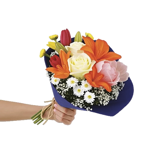 Blossom Harmony Display