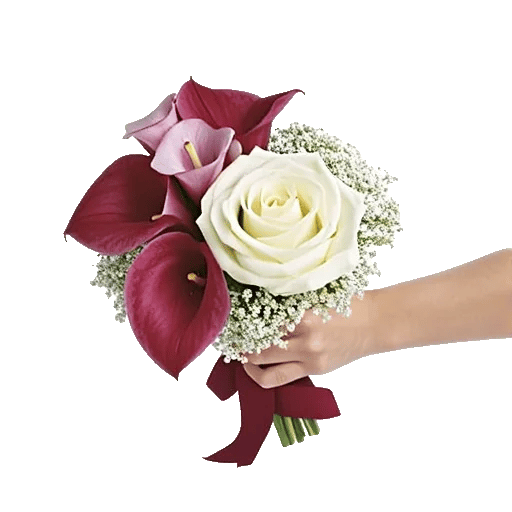 Elegant Calla Lilies