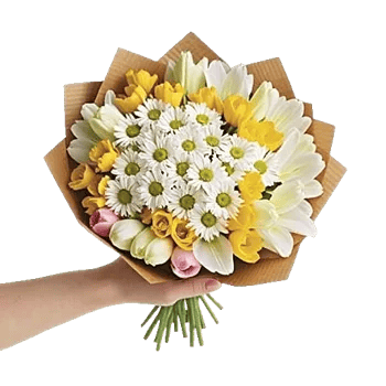 Daisy Meadow Spread
