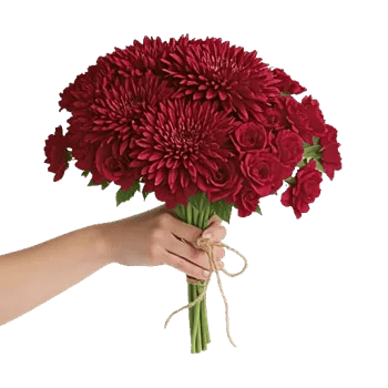 Crimson Blossom Harmony