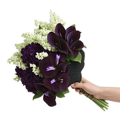 Elegant Calla Lilies
