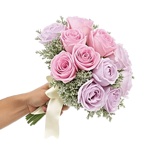 Pastel Pink Roses