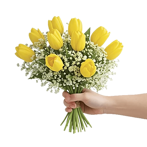 Velvet Tulip Display