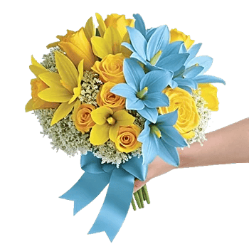 Pastel Blossom Grace