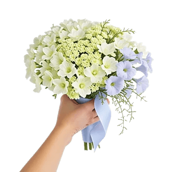 Ivory Blossom Radiance