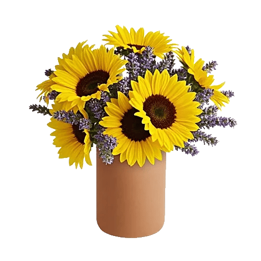 Radiant Bloom Cascade