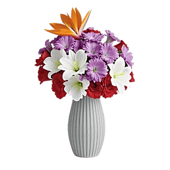 Petal Radiance Bliss