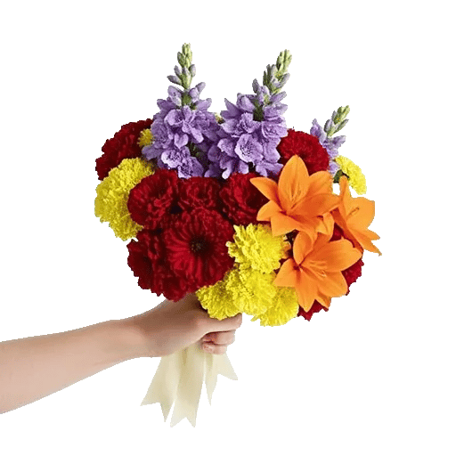 Petal Harmony Bliss