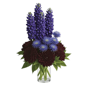 Crimson Blossom Harmony