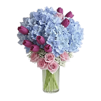 Azure Sky Blooms