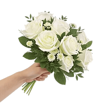 Ivory Garden Grace