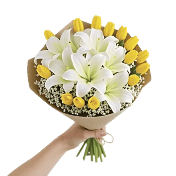Blossom Harmony Display