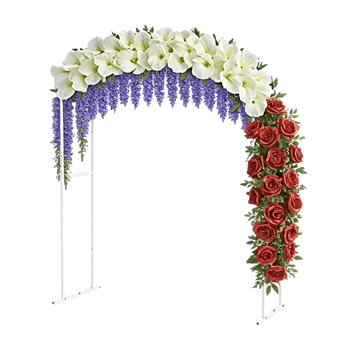 Elegant Calla Lilies