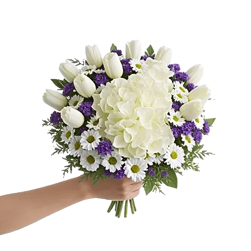 Blossom Harmony Display