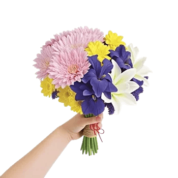 Blossom Harmony Display