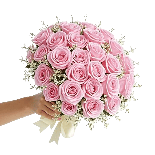 Blushing Rose Symphony