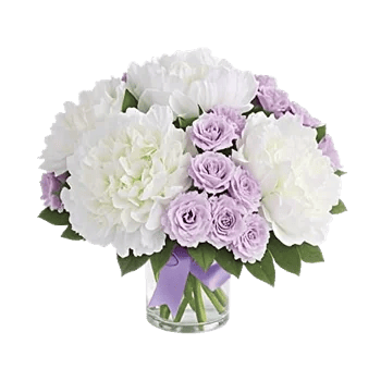 Petal Radiance Bliss