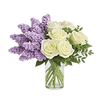 Lavender Bloom Grace