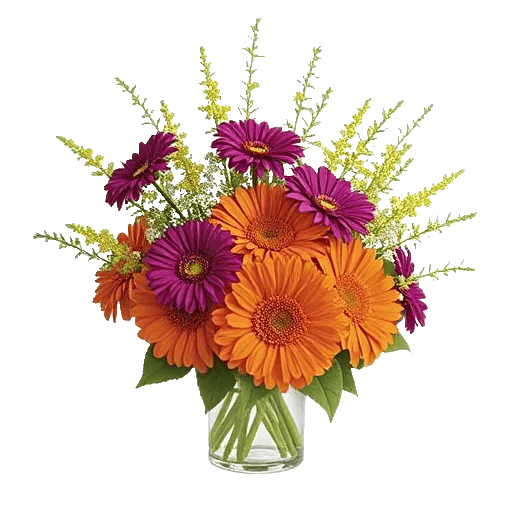 Vibrant Orange Delight