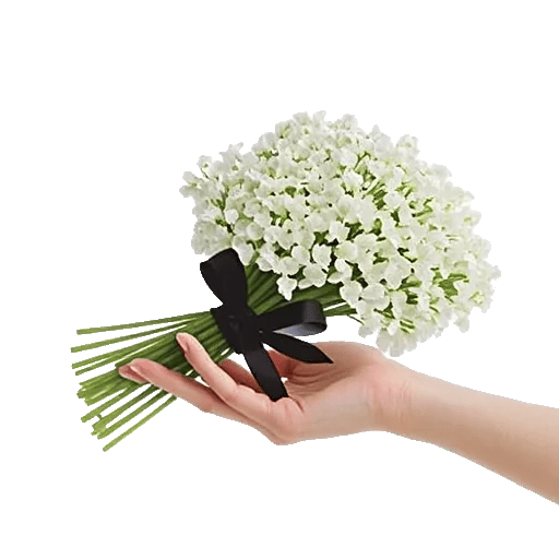 Graceful Lily Display