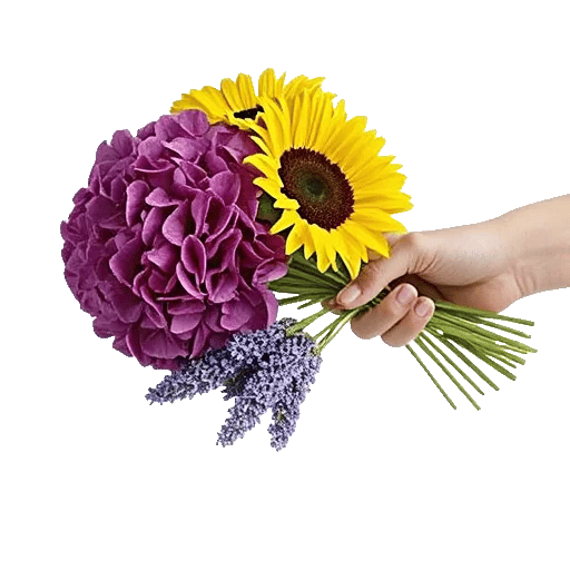 Serene Petal Harmony