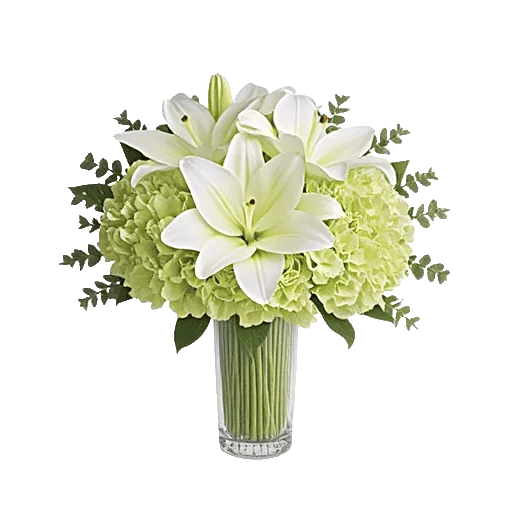 Ivory Blossom Radiance