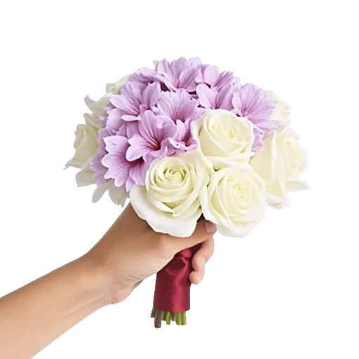 Blushing Rose Symphony